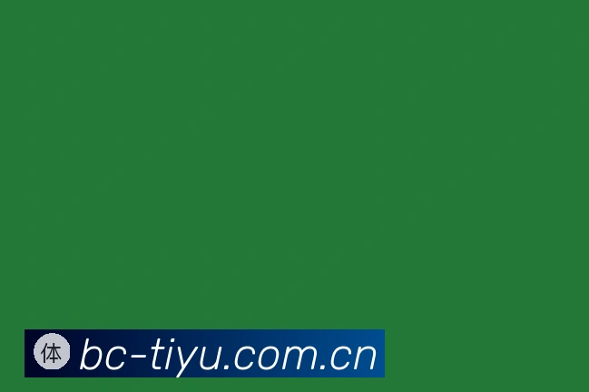 关于bc体育场