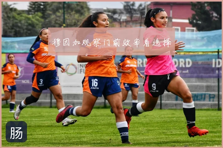 穆因加观察门前效率看选择